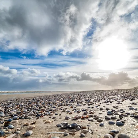 Apartmán Appartementhaus Westerloog 05-balkon