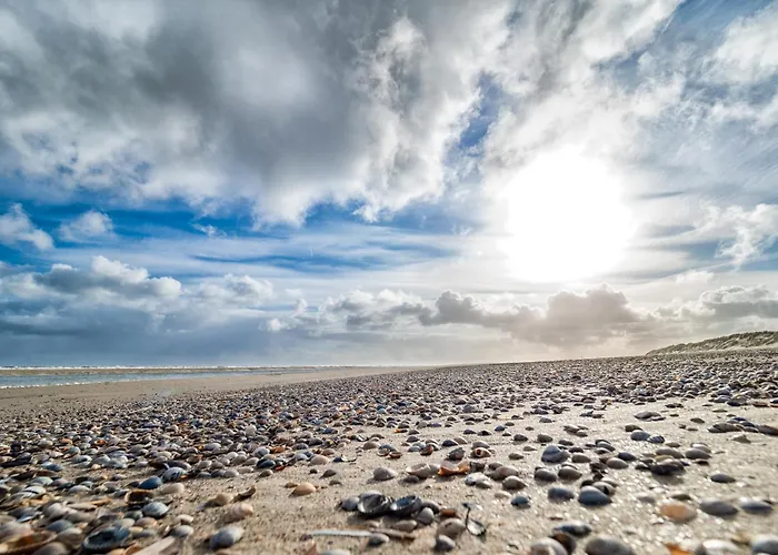 Апартаменты Appartementhaus Westerloog 05-balkon